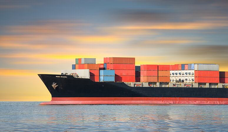 Documentation & Regulatory Compliance